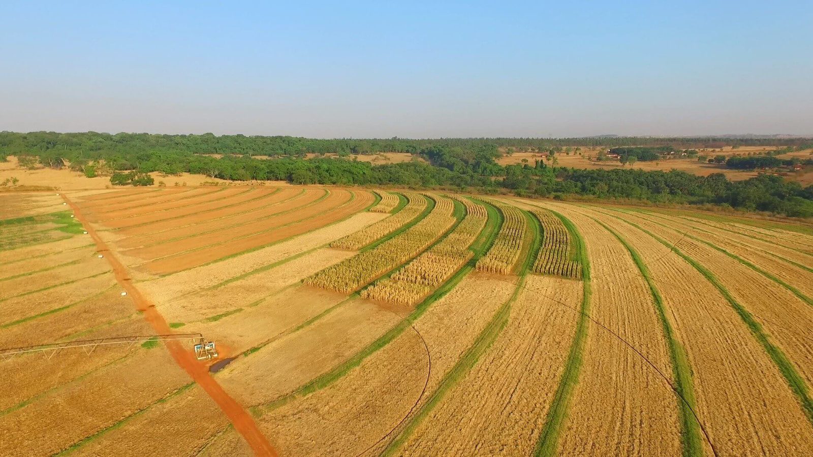 Registro aéreo de área agrícola
