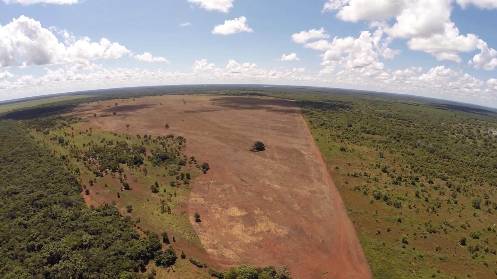 Panorâmica aérea de safra