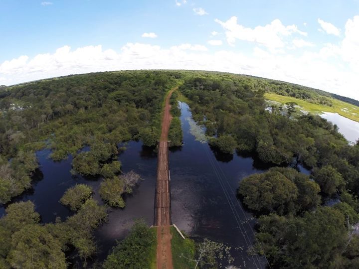 Imagem aérea de plantação