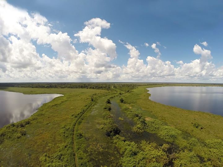 Vista aérea de propriedade agrícola